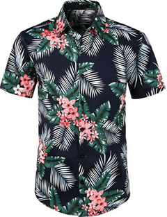Summer Shirts