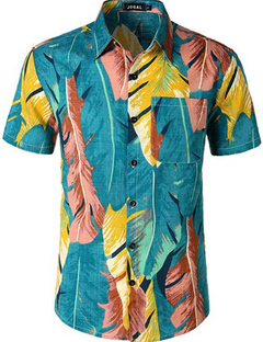Summer Shirts